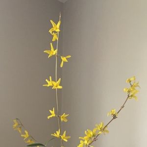 Meet your Posher, Soph